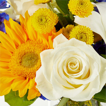 Stargazing Bouquet – FLOWERS BY DICK & SON INC, Akron OH