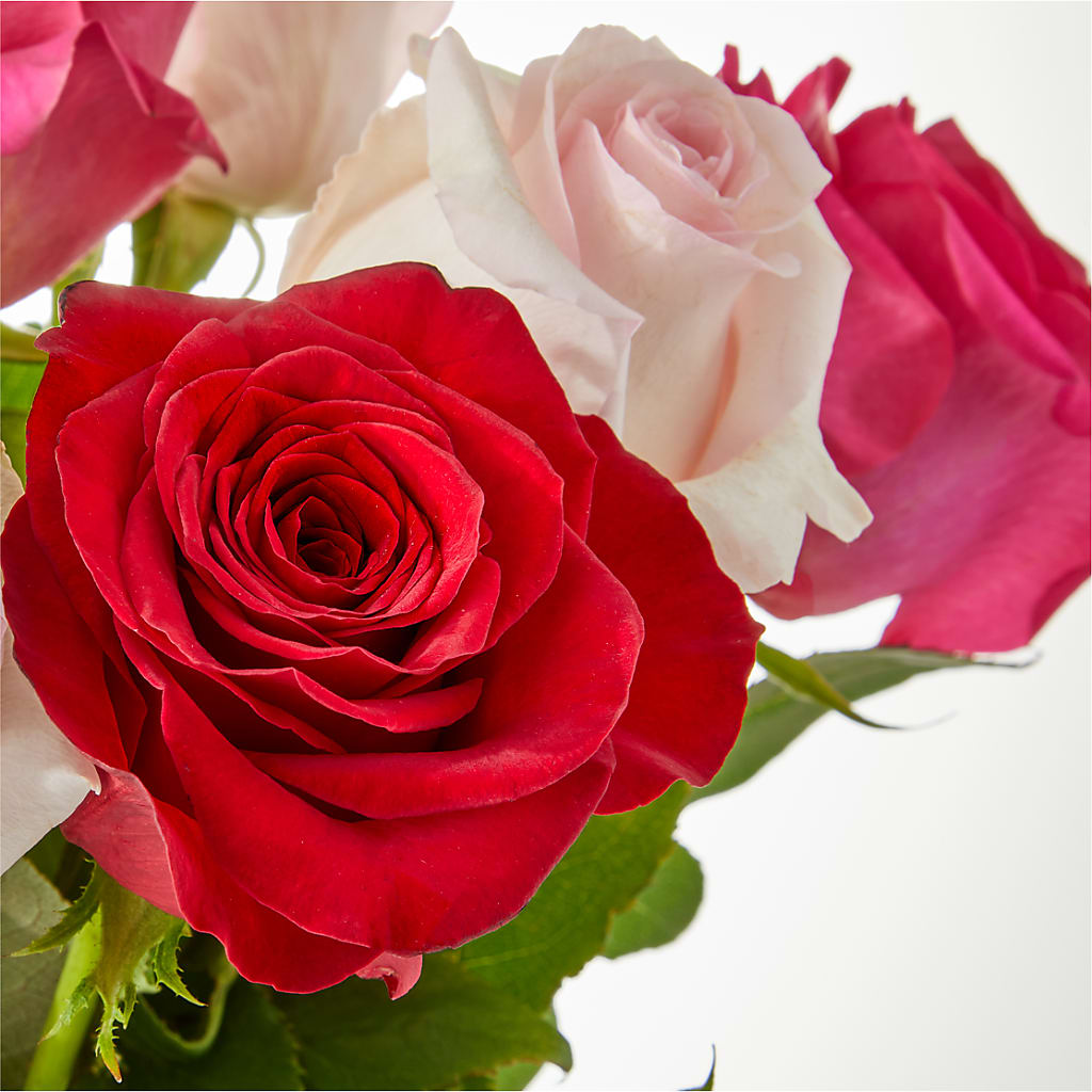 Charming Rose Bouquet – FLOWERS BY DICK & SON INC, Akron OH