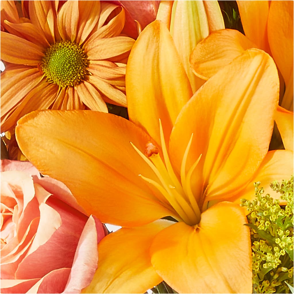 Harvest Hayride Bouquet – FLOWERS BY DICK & SON INC, Akron OH