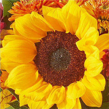 Sunny Side Bouquet – FLOWERS BY DICK & SON INC, Akron OH