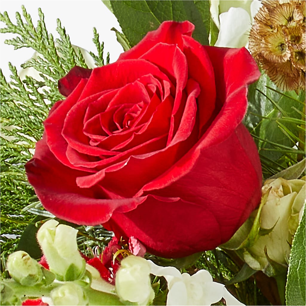 Deck the Halls Bouquet – FLOWERS BY DICK & SON INC, Akron OH