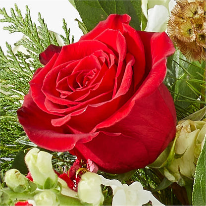 Deck the Halls Bouquet – FLOWERS BY DICK & SON INC, Akron OH