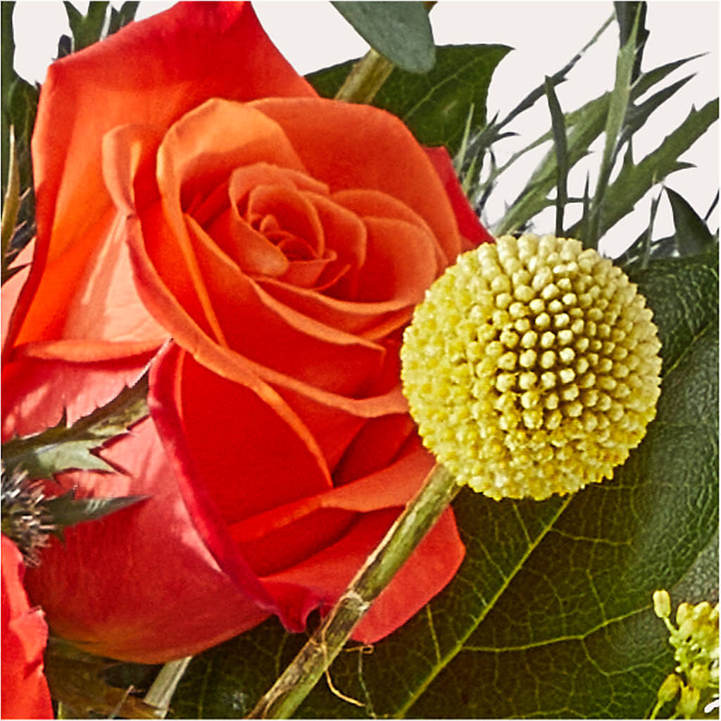 Disco Bouquet – FLOWERS BY DICK & SON INC, Akron OH