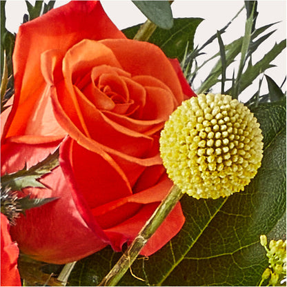 Disco Bouquet – FLOWERS BY DICK & SON INC, Akron OH
