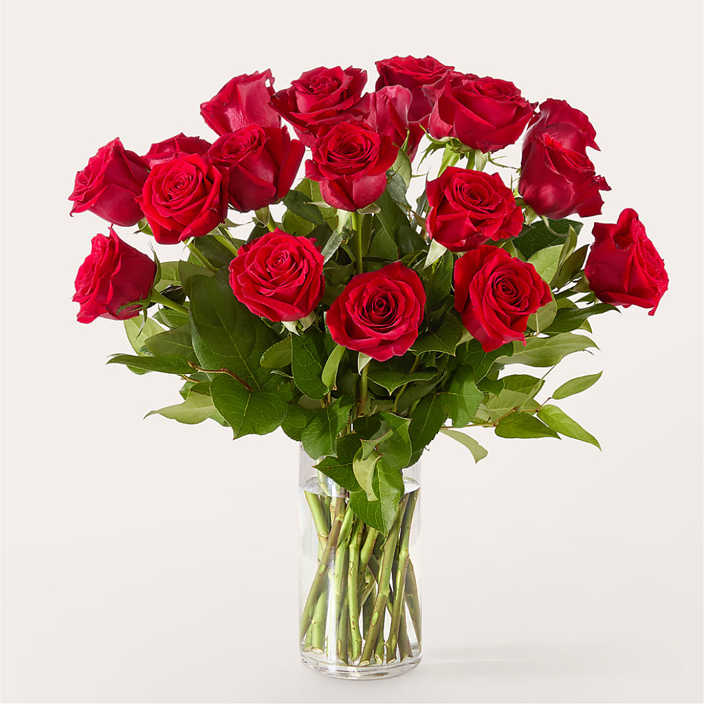 The One Red Rose Bouquet – FLOWERS BY DICK & SON INC, Akron OH