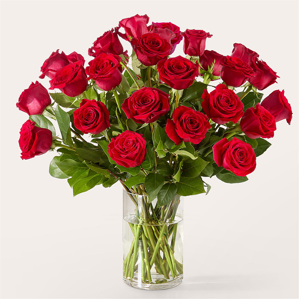 The One Red Rose Bouquet – FLOWERS BY DICK & SON INC, Akron OH