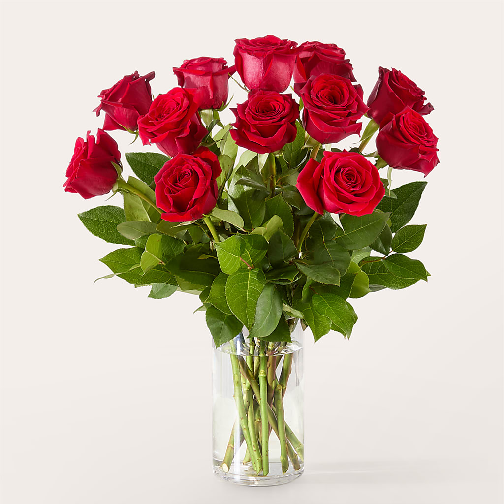 The One Red Rose Bouquet – FLOWERS BY DICK & SON INC, Akron OH