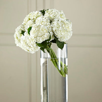 White Hydrangea Hand-Tied Bouquet – FLOWERS BY DICK & SON INC, Akron OH