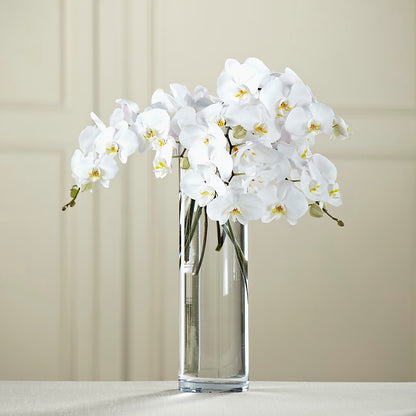 White Phalaenopsis Bouquet – FLOWERS BY DICK & SON INC, Akron OH